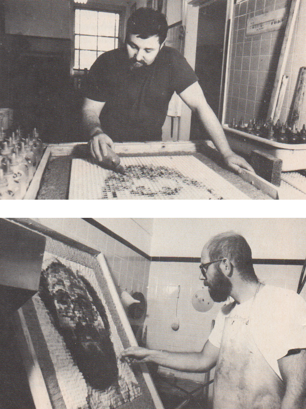 A familiar image takes a new form in a 1982 collaboration between (top) Joe Wilfer and (bottom) Chuck Close.  "I love the physicality of pushing the pulp," says Close.  It's like making a pizza."