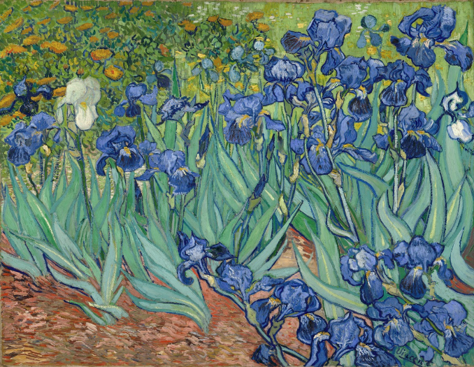 "Irises", Vincent van Gogh, 1889, Oil on canvas, 74.3 x 94.3 cm (29 1/4 x 37 1/8 in.), image courtesy the Getty Museum